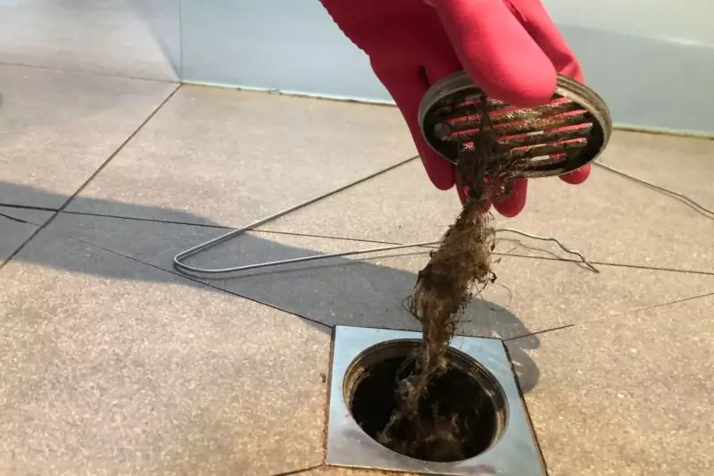 Got a Smelly Shower Drain? Your 2024 DIY Fix It Guide! Phyxter Home