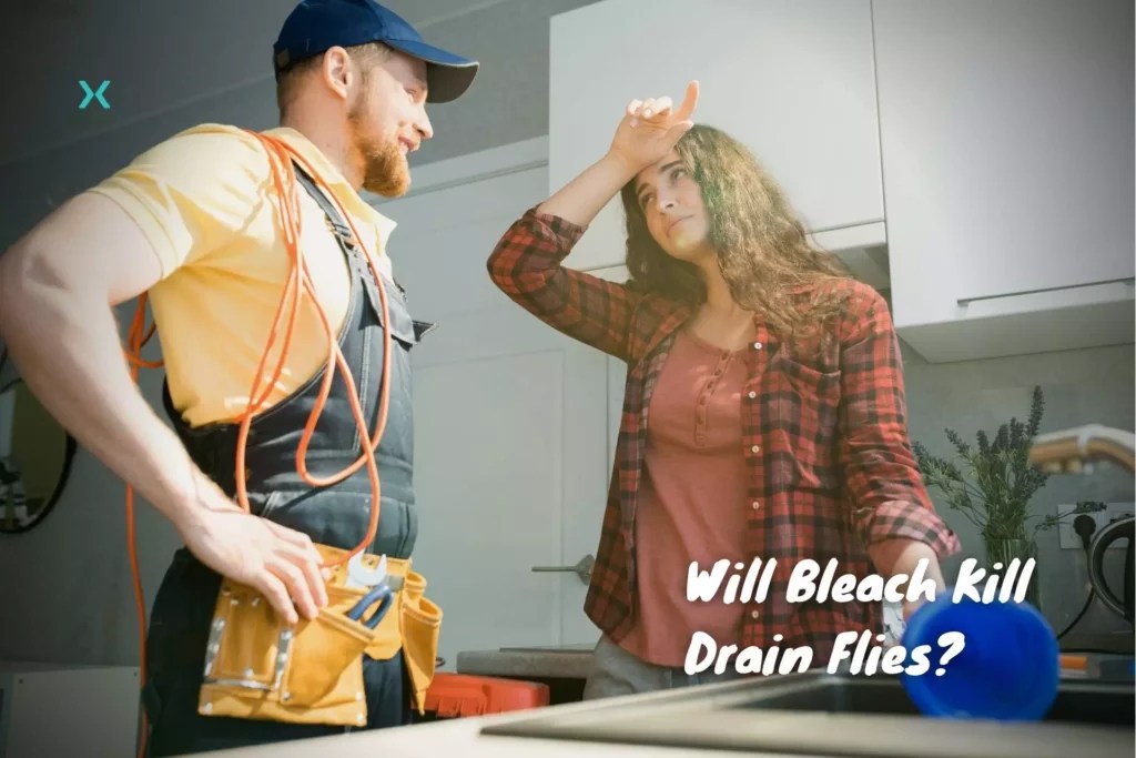 Will Bleach Kill Drain Flies? Phyxter Home Services