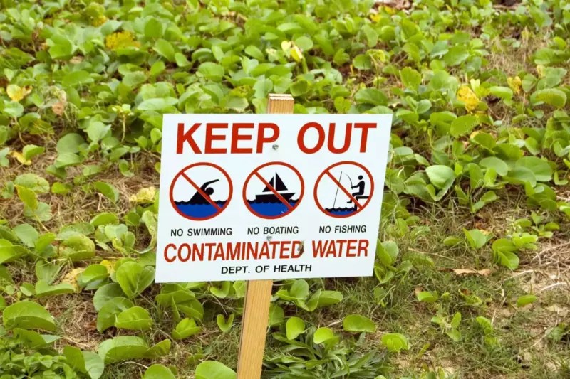 The Mystery of Yellow Water Is it Safe to Drink or Bathe In? Phyxter