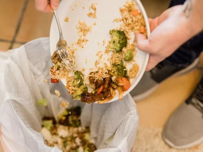 Why Your Garbage Disposal Smells and How to Fix It Homebuyer Weekly