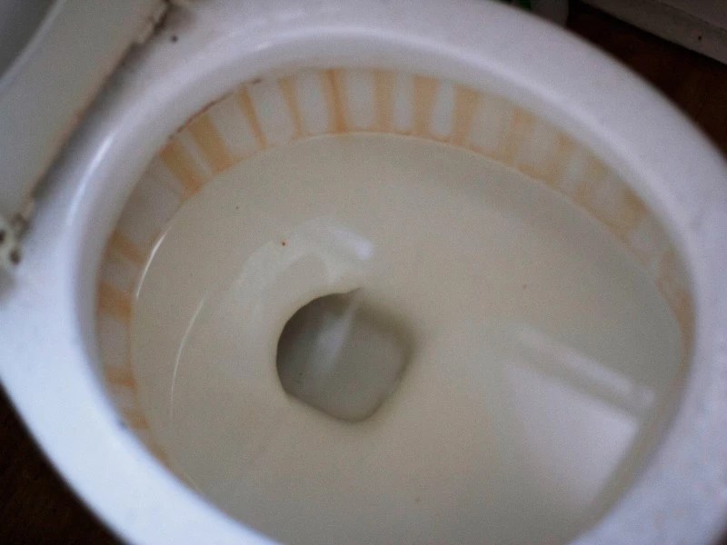 Homeowners Guide to How to Get Rust Stains Out Of Toilet Homebuyer Weekly