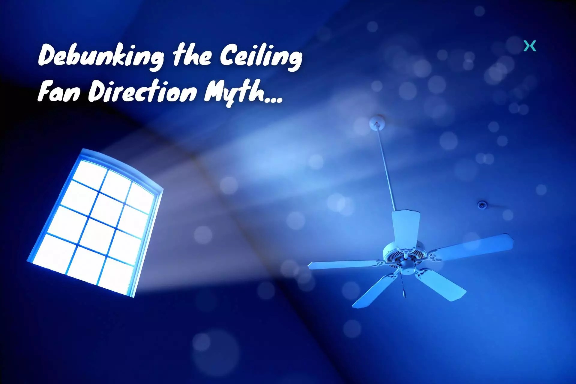 Debunking the Ceiling Fan Direction Myth Phyxter Home Services