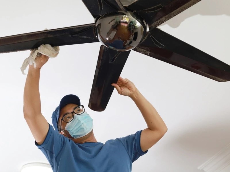 Debunking the Ceiling Fan Direction Myth Phyxter Home Services