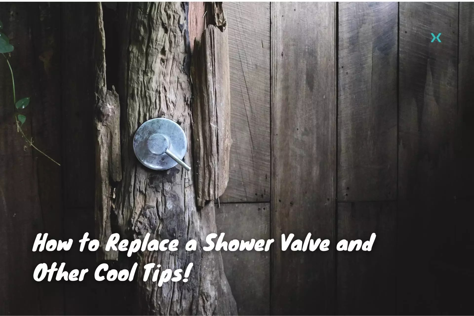 How to Replace a Shower Valve | Phyxter Home Services