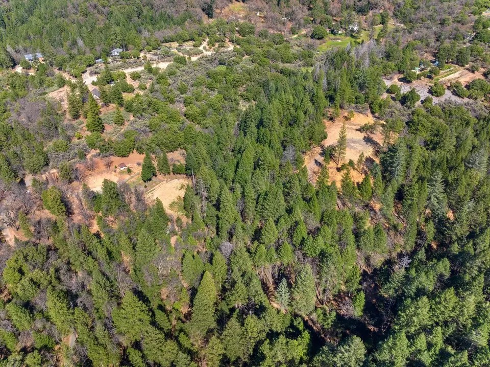 13405 Campbell Loop, Grass Valley, CA 95945 24 Photos Movoto