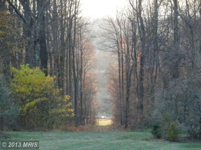 3706 Bust Head Rd, The Plains, VA 20198 Movoto