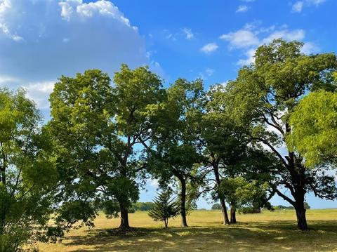 10921 Strittmatter Rd, Pilot Point, TX 76258 5 Photos MLS 20139941