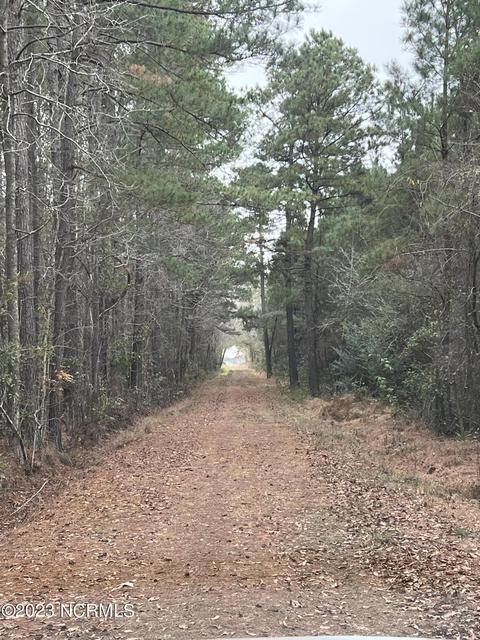 70 Ac Off Highway Hwy, Bladenboro, NC 28320 4 Photos MLS 100363975