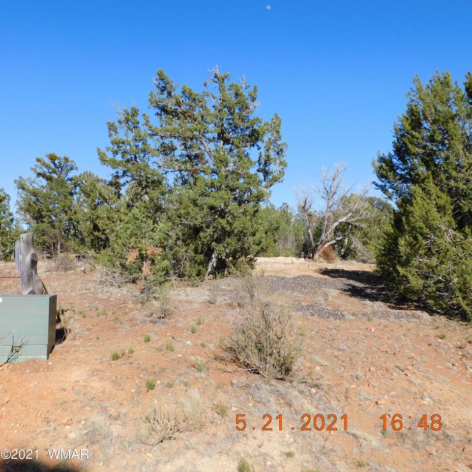 2268 Roundabout Cir, Overgaard, AZ 85933 9 Photos Movoto