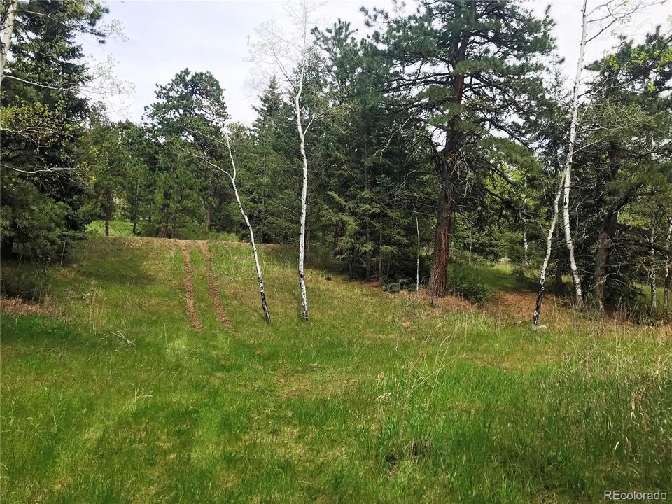 1 Golden Willow Road, Evergreen, CO 80439 17 Photos