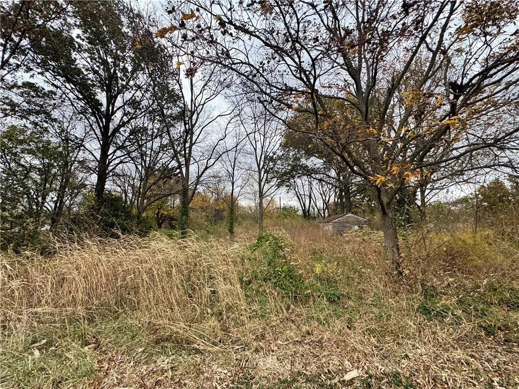 304 W Pine St, Rich Hill, MO 64779 4 Photos Movoto