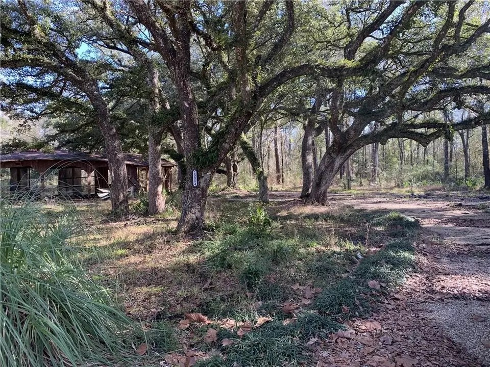 20084 Jones Ln, Ponchatoula, LA 70454 Movoto