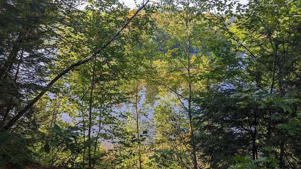 M19 L21 Sandy River Road, New Sharon, ME 04955 9 Photos Movoto