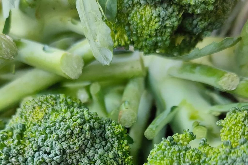 Broccoli scheda tecnica di coltivazione di Riserva