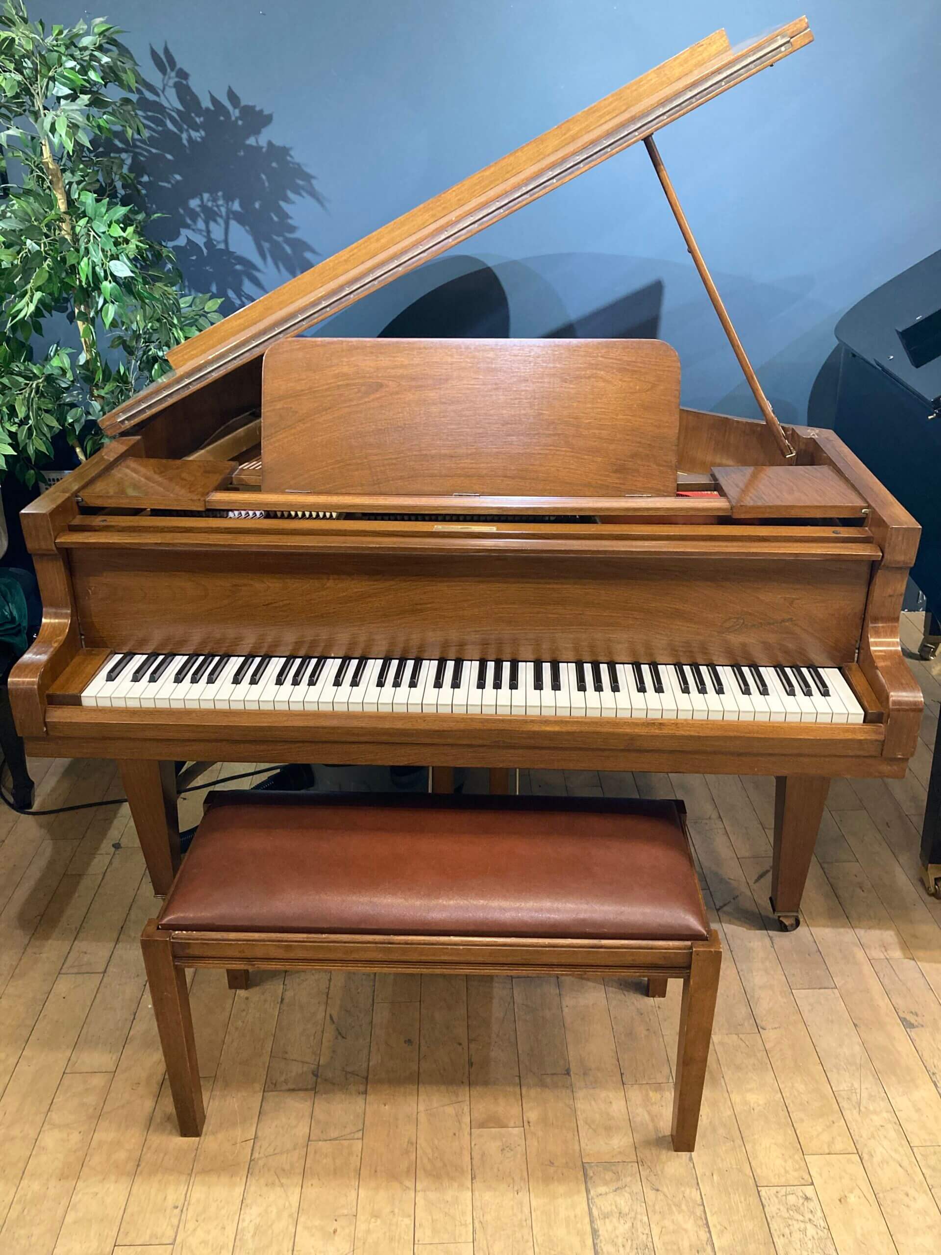 Danemann Baby Grand Piano Piano Vertu
