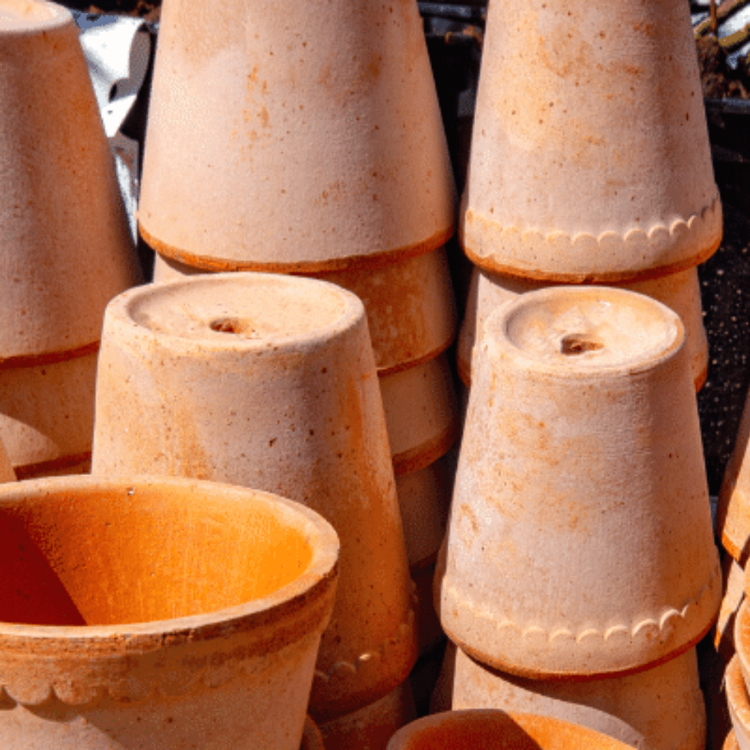 to my little houseplant world! Piantica