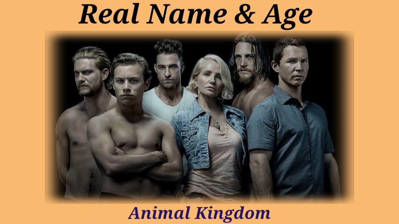 Top 117 + Animal kingdom season 3 release date