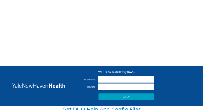 Access Netscaler Gateway