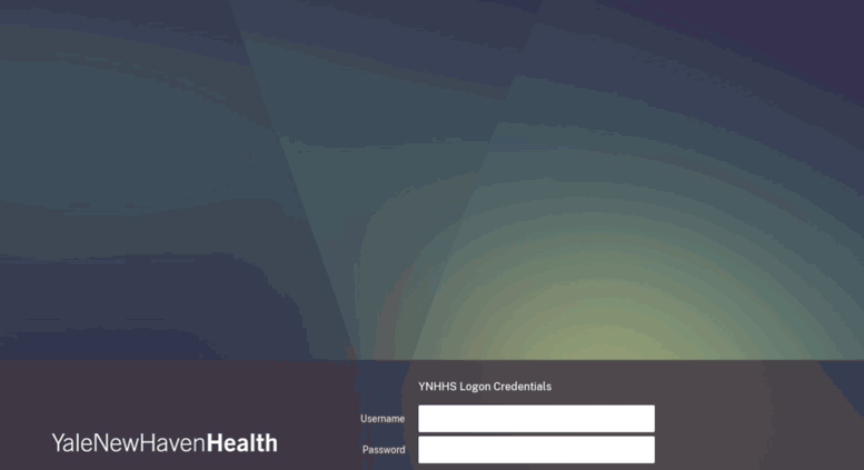 Access Netscaler Gateway