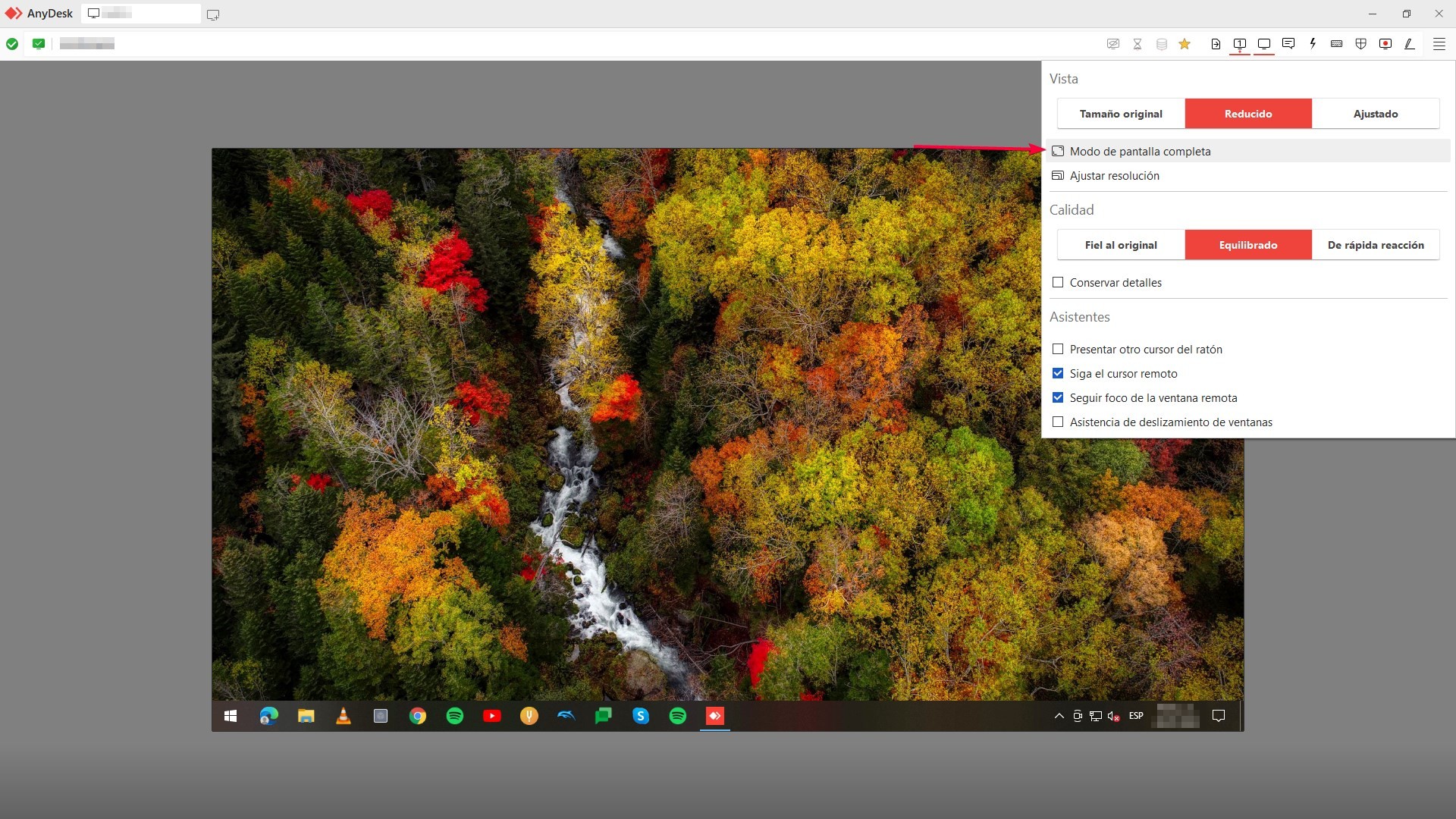 Cómo configuro AnyDesk para trabajar en pantalla completa? Ayuda de