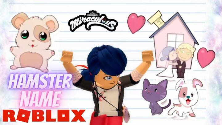 Miraculous Ladybug New SKIN and COINS CODE Roblox Role Play Quest of