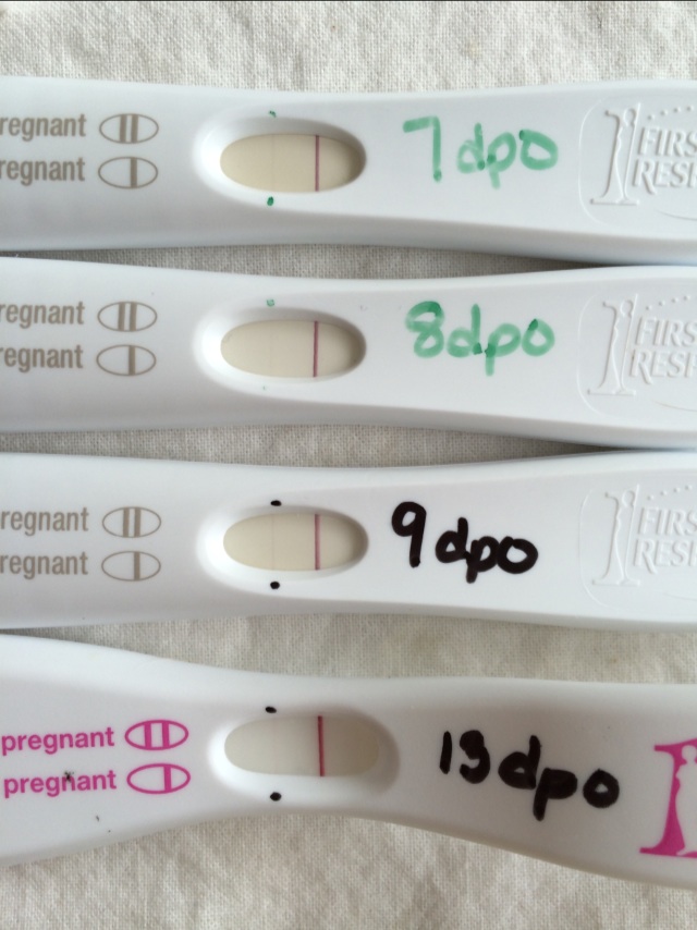 8 Dpo Pregnancy Test Negative pregnancy test