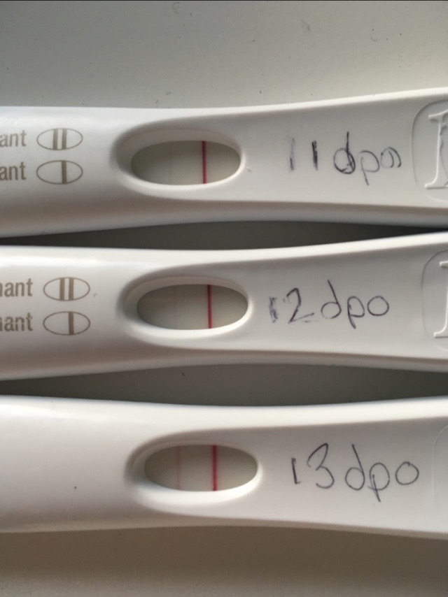 FRER Progression Glow Community