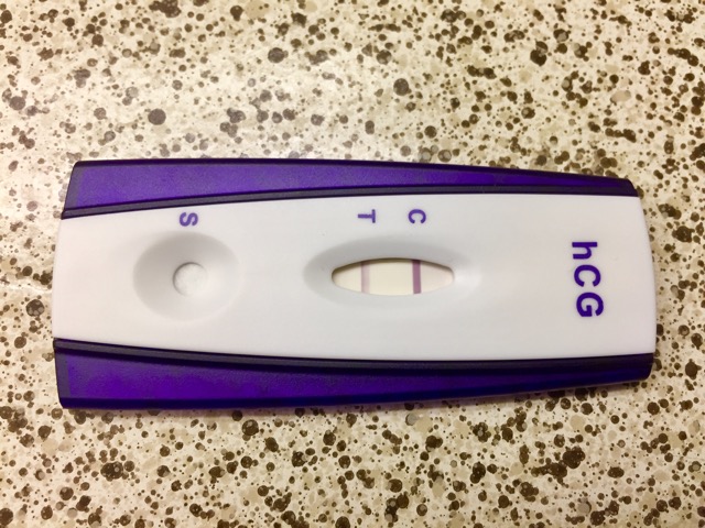 14 dpo bfp