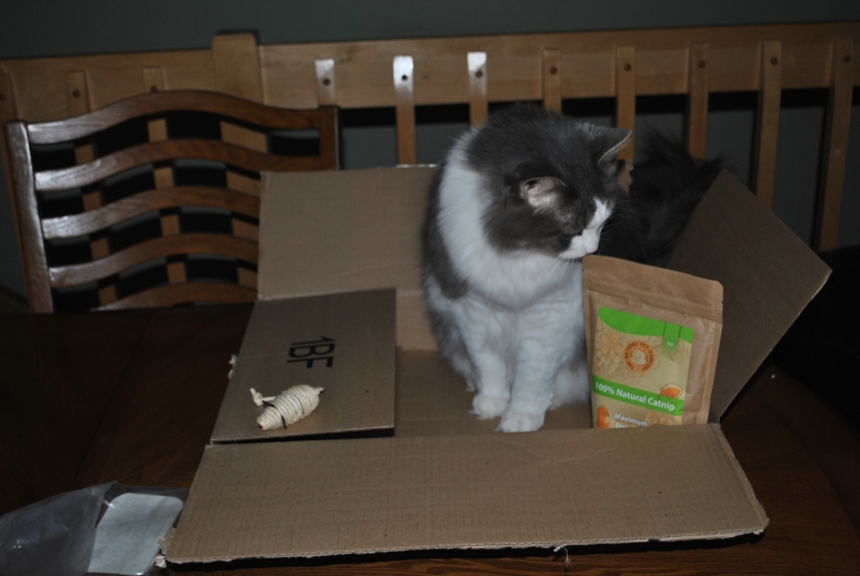 Tails from the Foster Kittens Toys from The Natural Pet Company