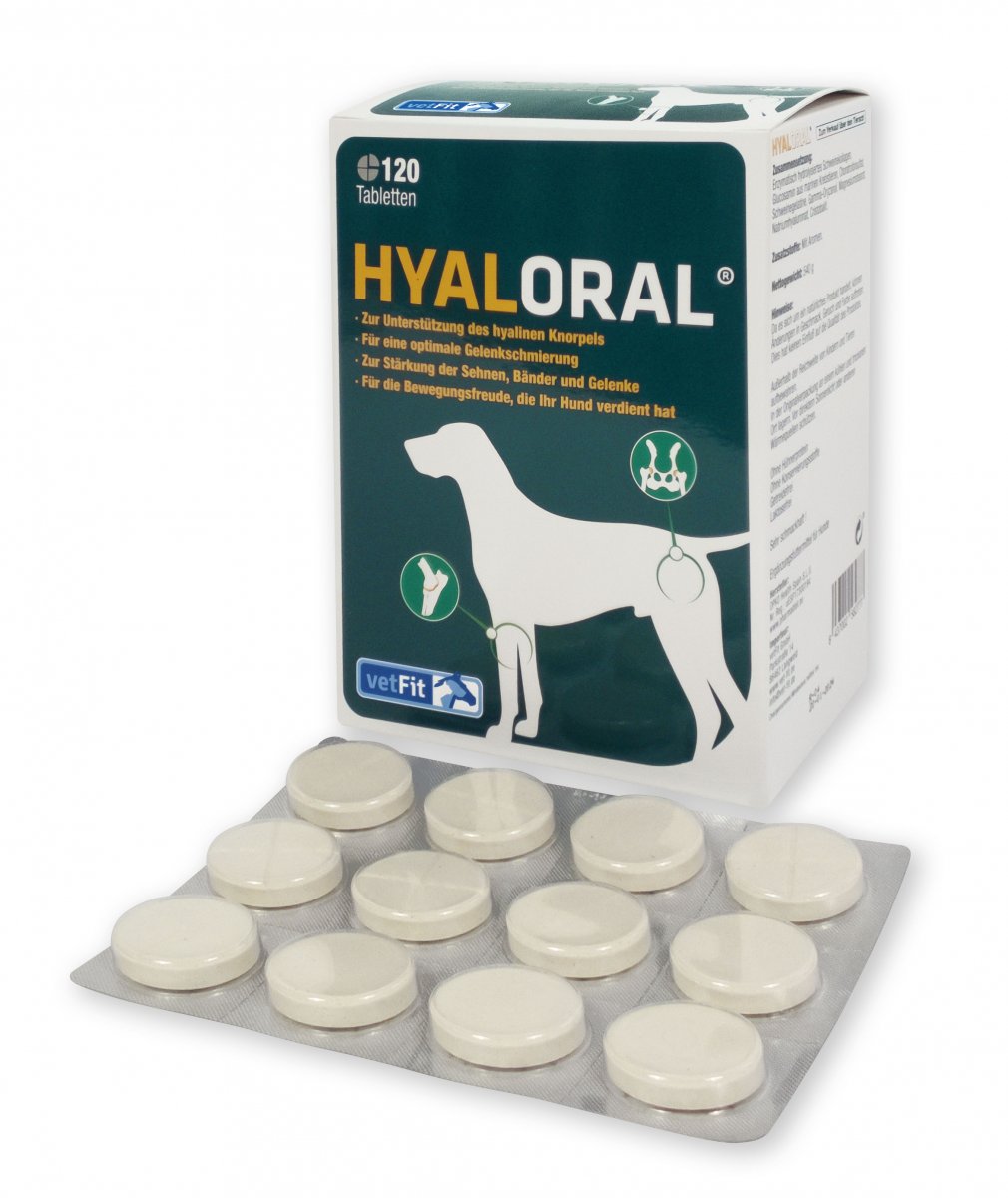 HyalOraL für Hunde Hyaluronsäure für gesunde Gelenke ohne Spritze