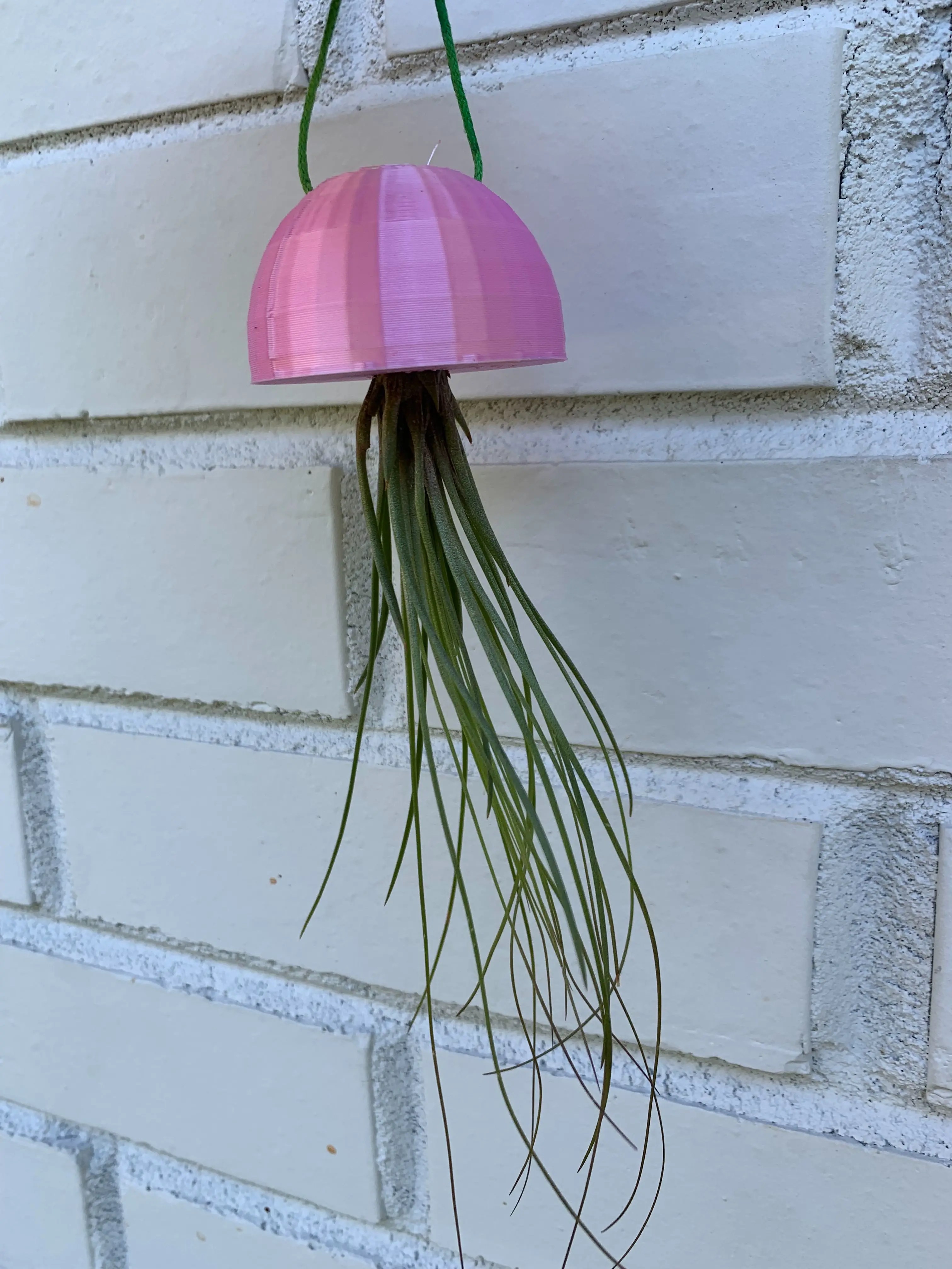 Jellyfish Air Plant Holder 3D models download Creality Cloud