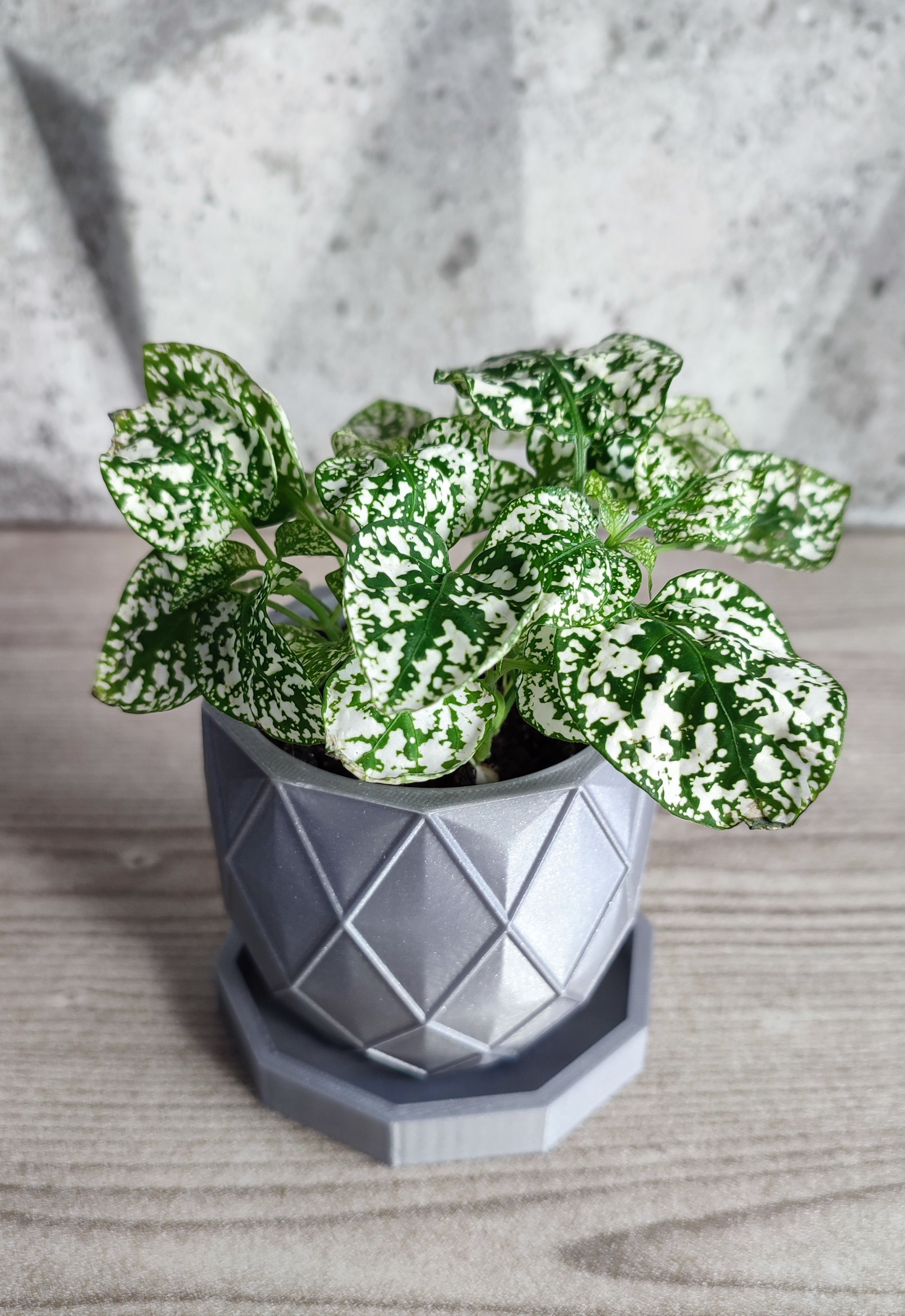 Spodek pod doniczkę / Saucer under the flowerpot 3D models download