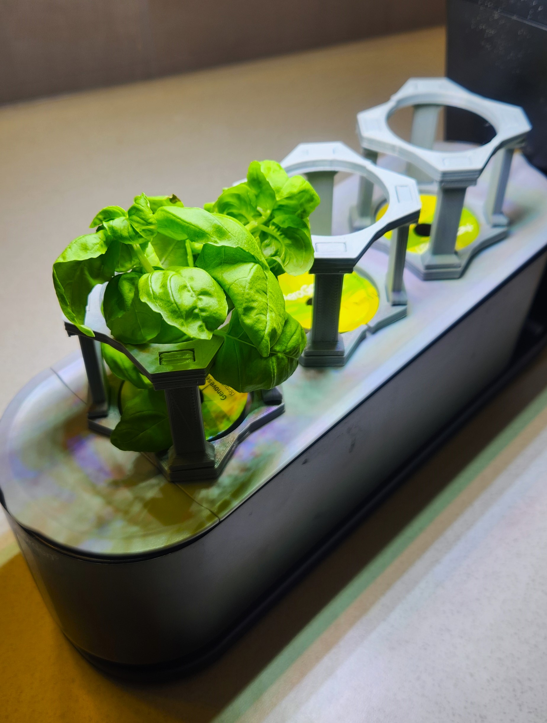 AeroGarden Plant Support 3D models download Creality Cloud
