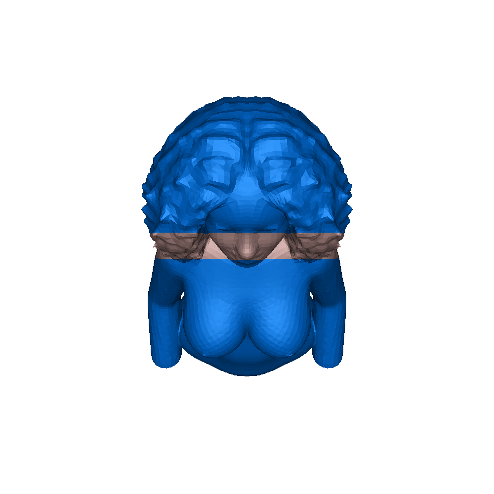 Free Sculptures & Artworks STL Download - Curly haired Nudeby katt_bearakuda