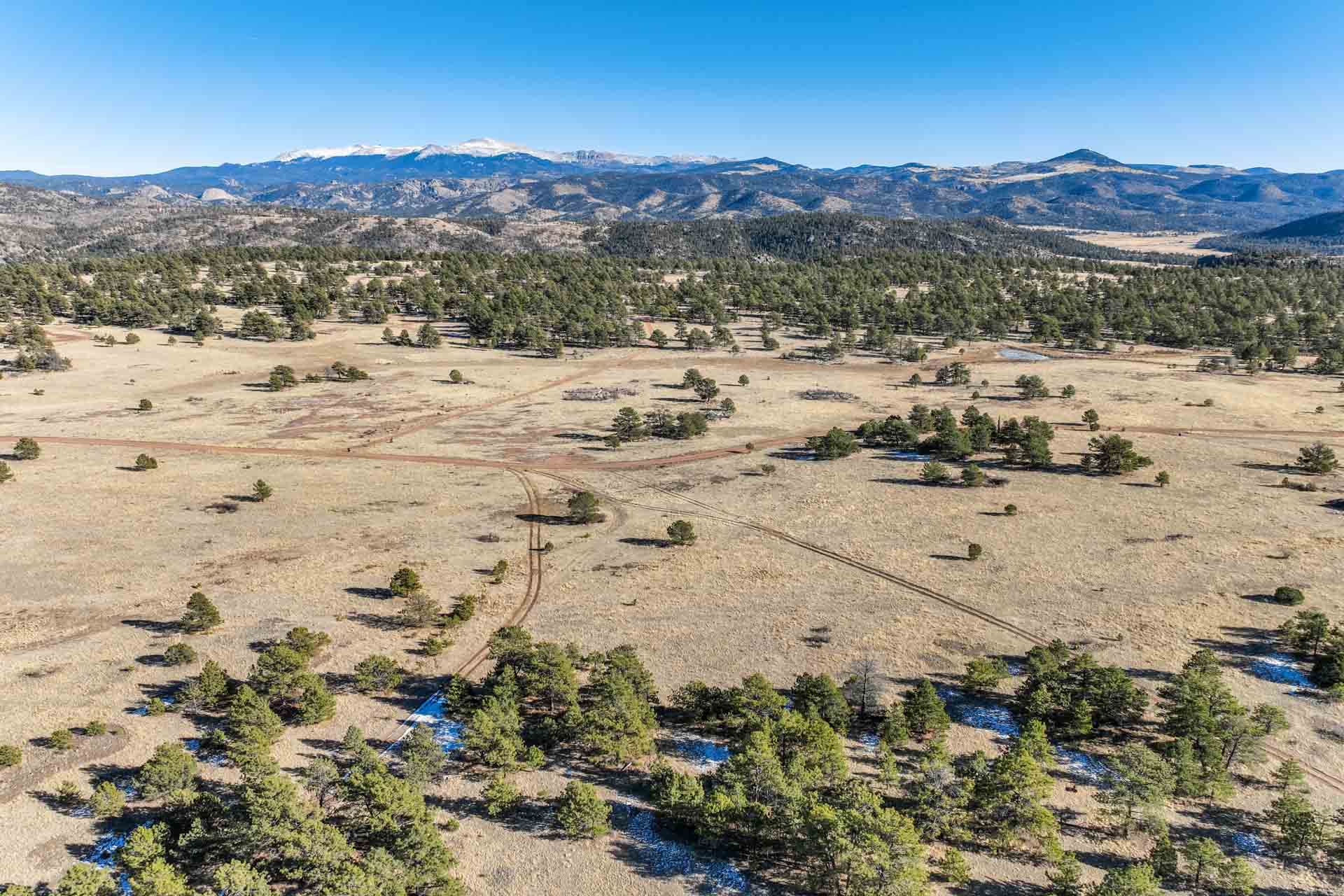 1190 Doe Valley Rd presented by Dan Sullivan FēD