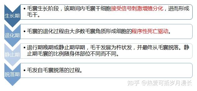 【皮肤病】犬猫皮肤病之—皮肤生理学 知乎