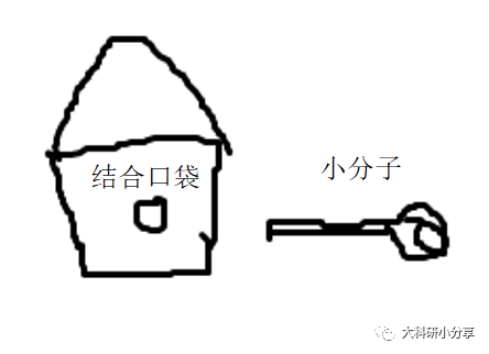 MOE的基本使用（1）—小分子与蛋白质的对接 知乎
