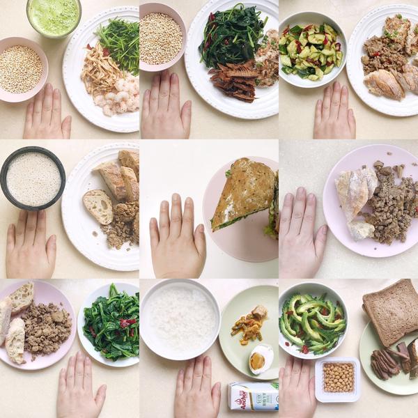 为身体提供能量的三大营养素 知乎