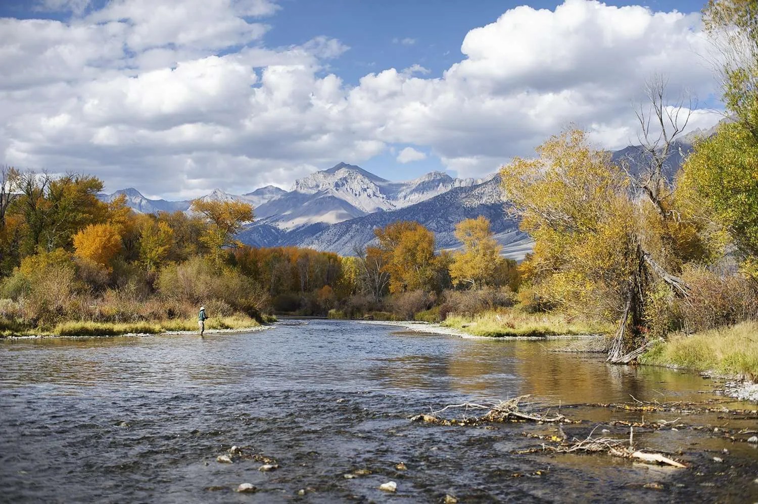 Lower Big Lost River Picabo Angler