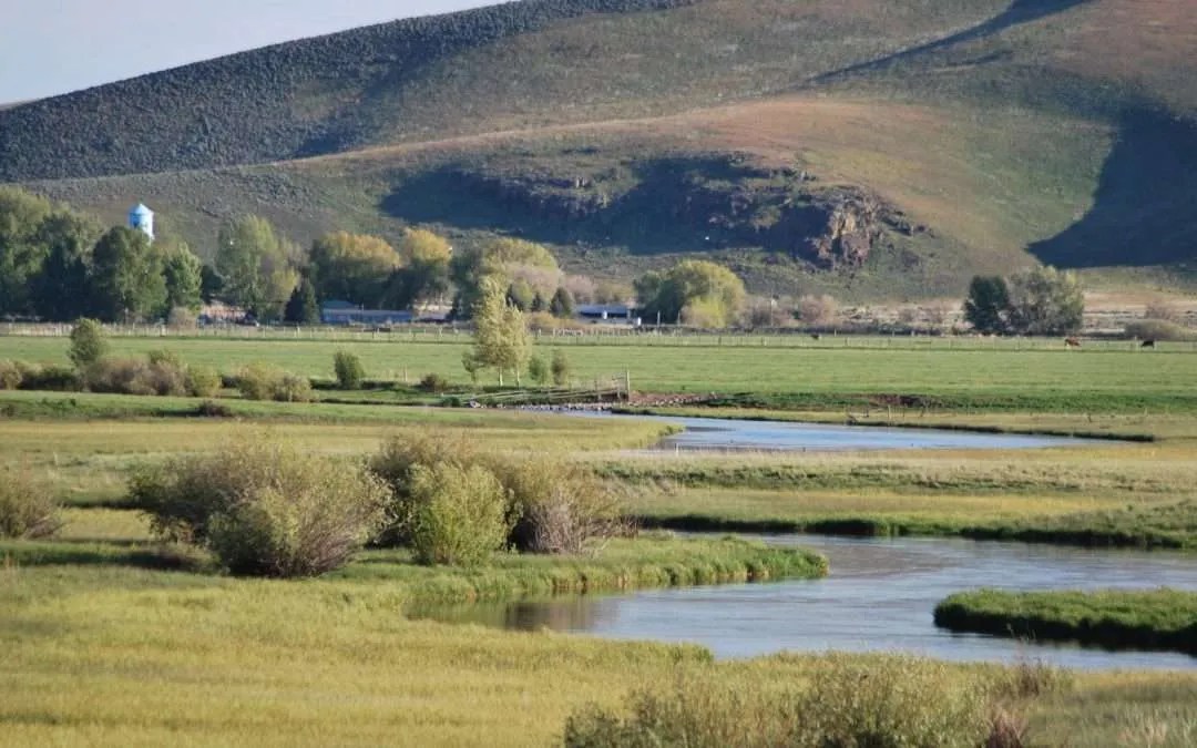 Silver Creek Fishing Tips Picabo Angler