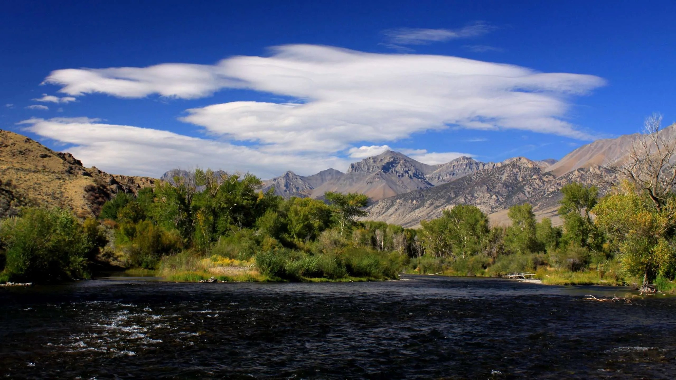 Lower Big Lost River Picabo Angler