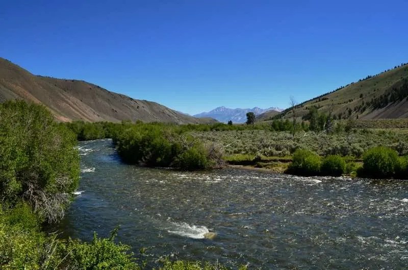 Upper Big Lost River Picabo Angler