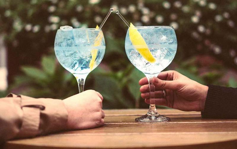 Picale.mx RECETA CÓMO PREPARAR TU GIN TONIC PERFECTO EN CASA