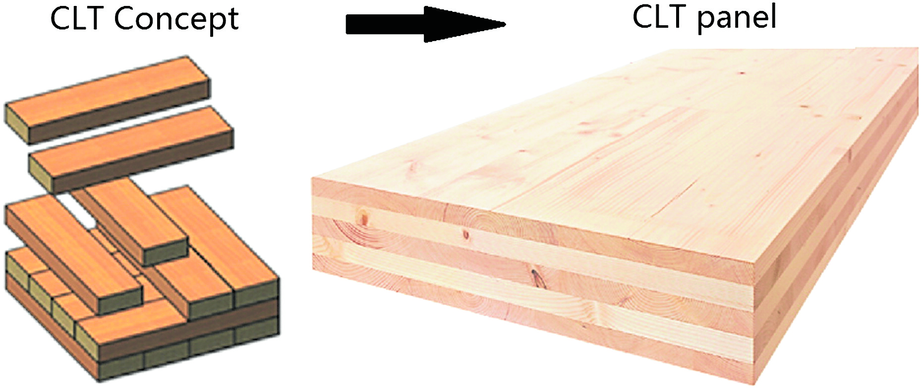 Are we ready for timber buildings? The Philippine Infrastructure and