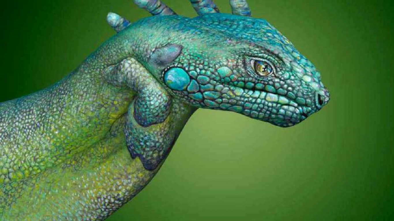 HAND PAINTED, LIZARD Image Abyss