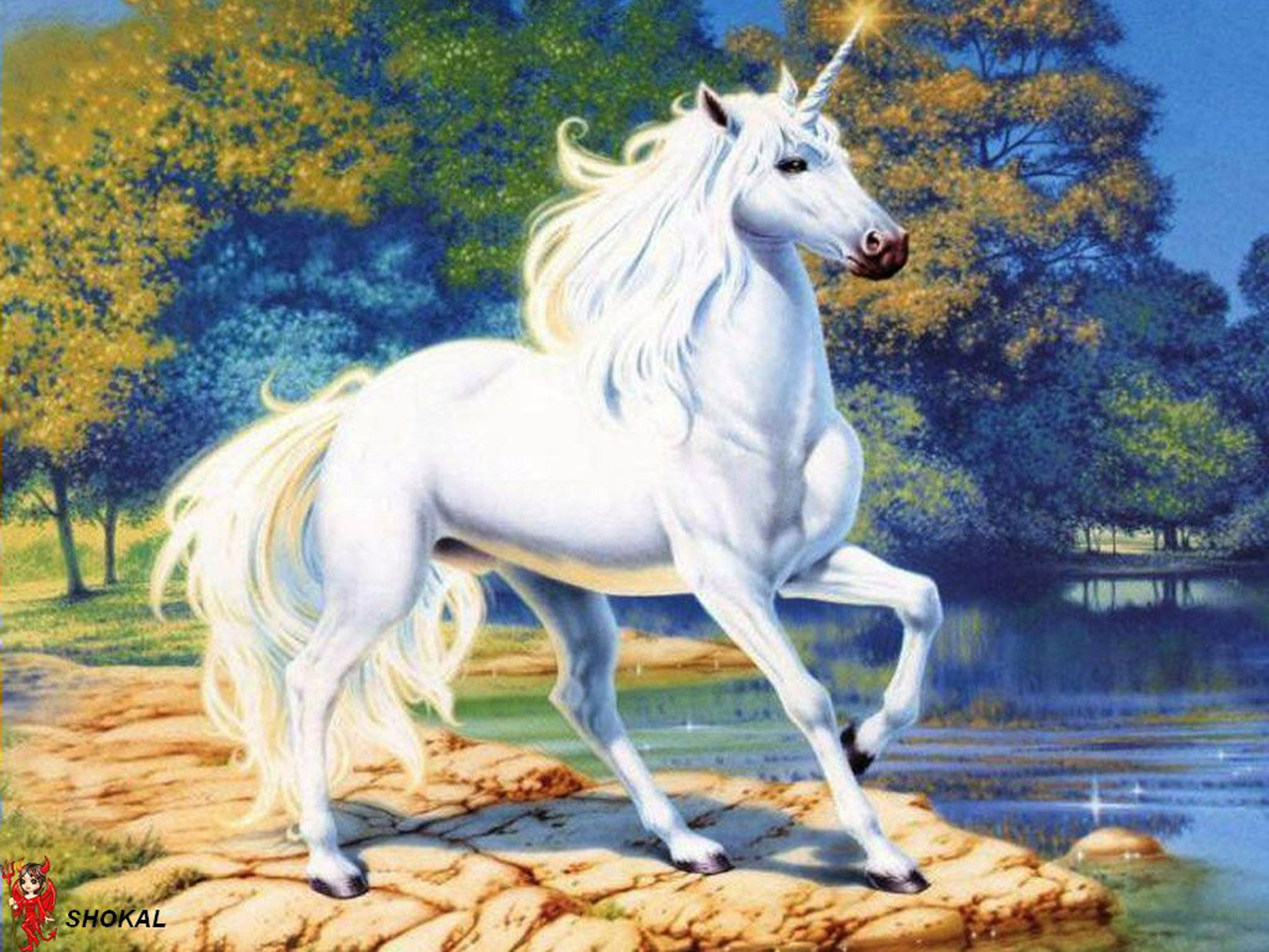 fantasy unicorn at edge of river Image Abyss