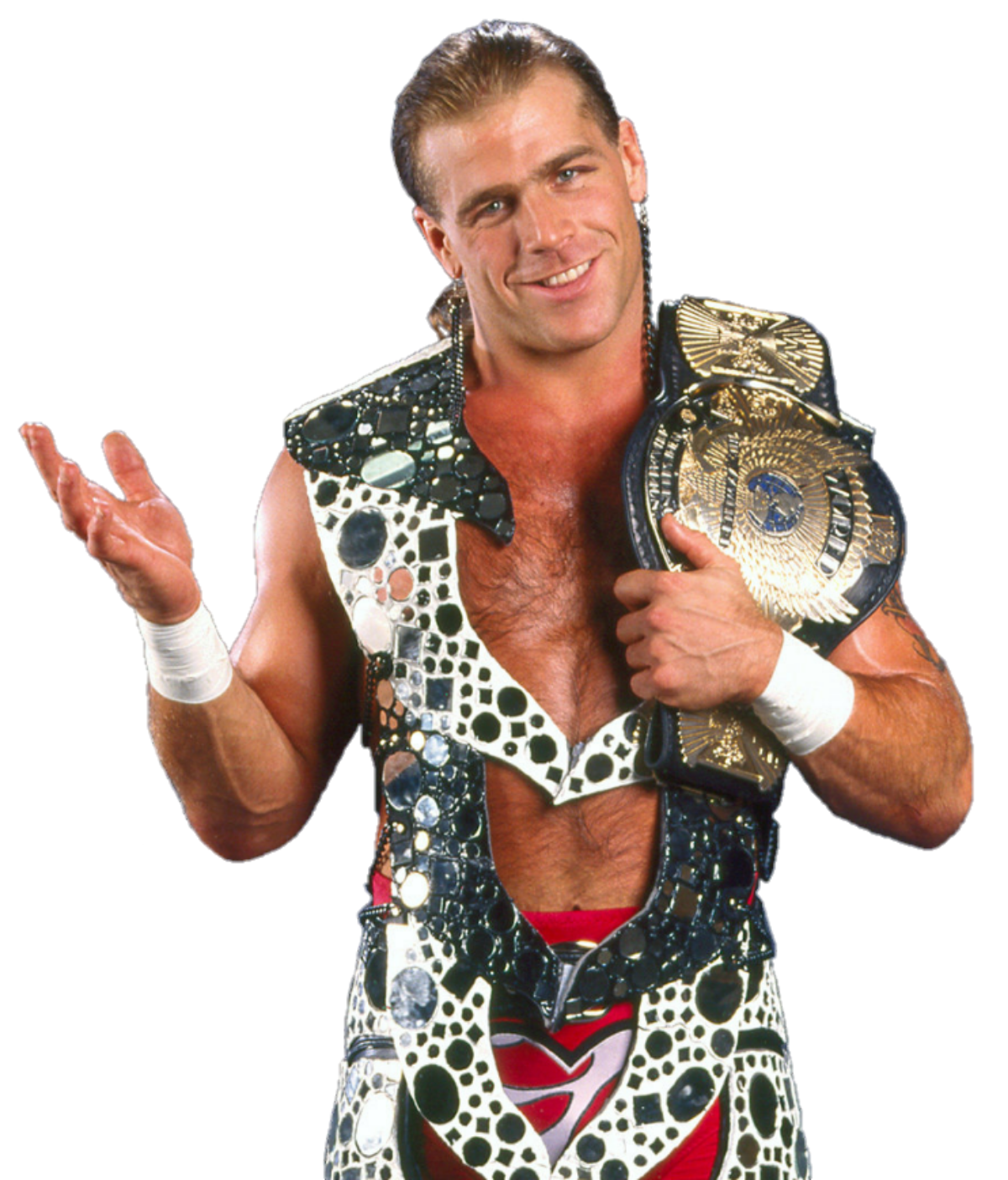 Shawn Michaels WWE Image Abyss