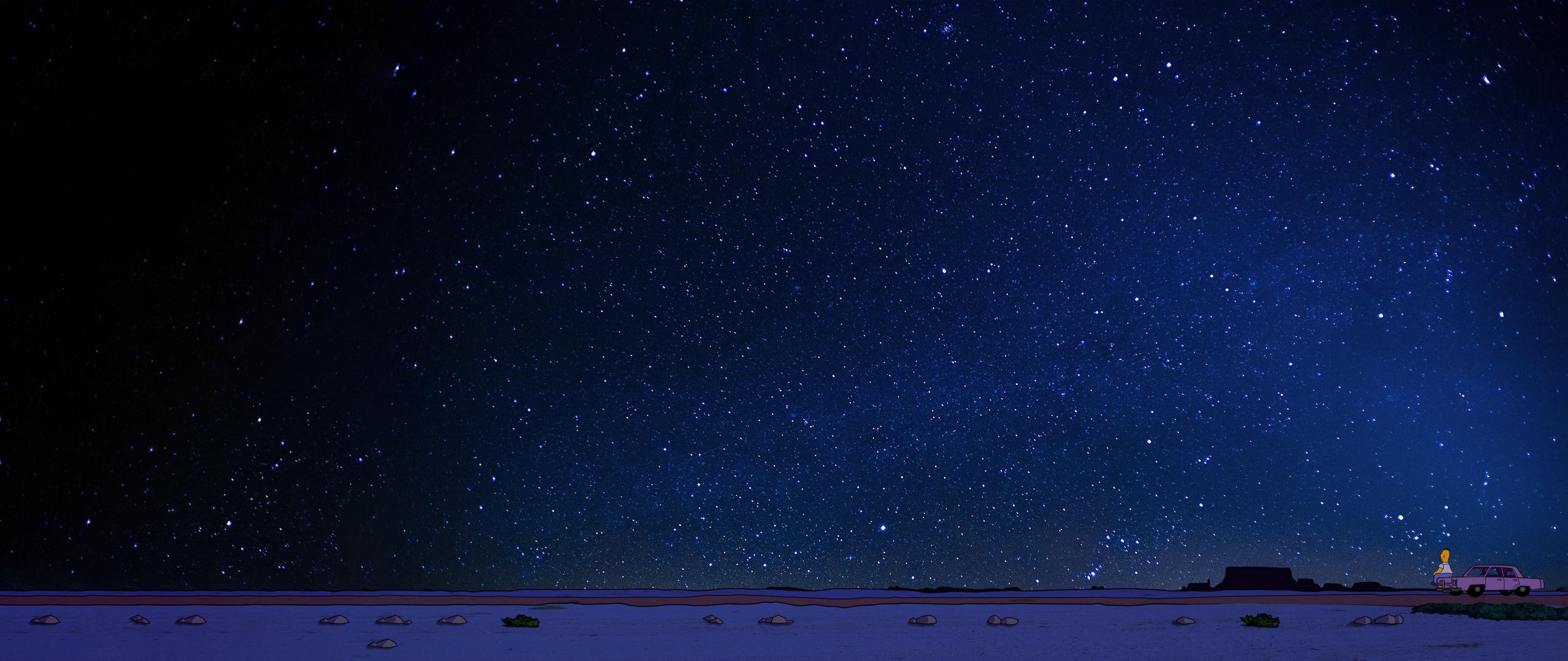 Homer looking at stars Image Abyss
