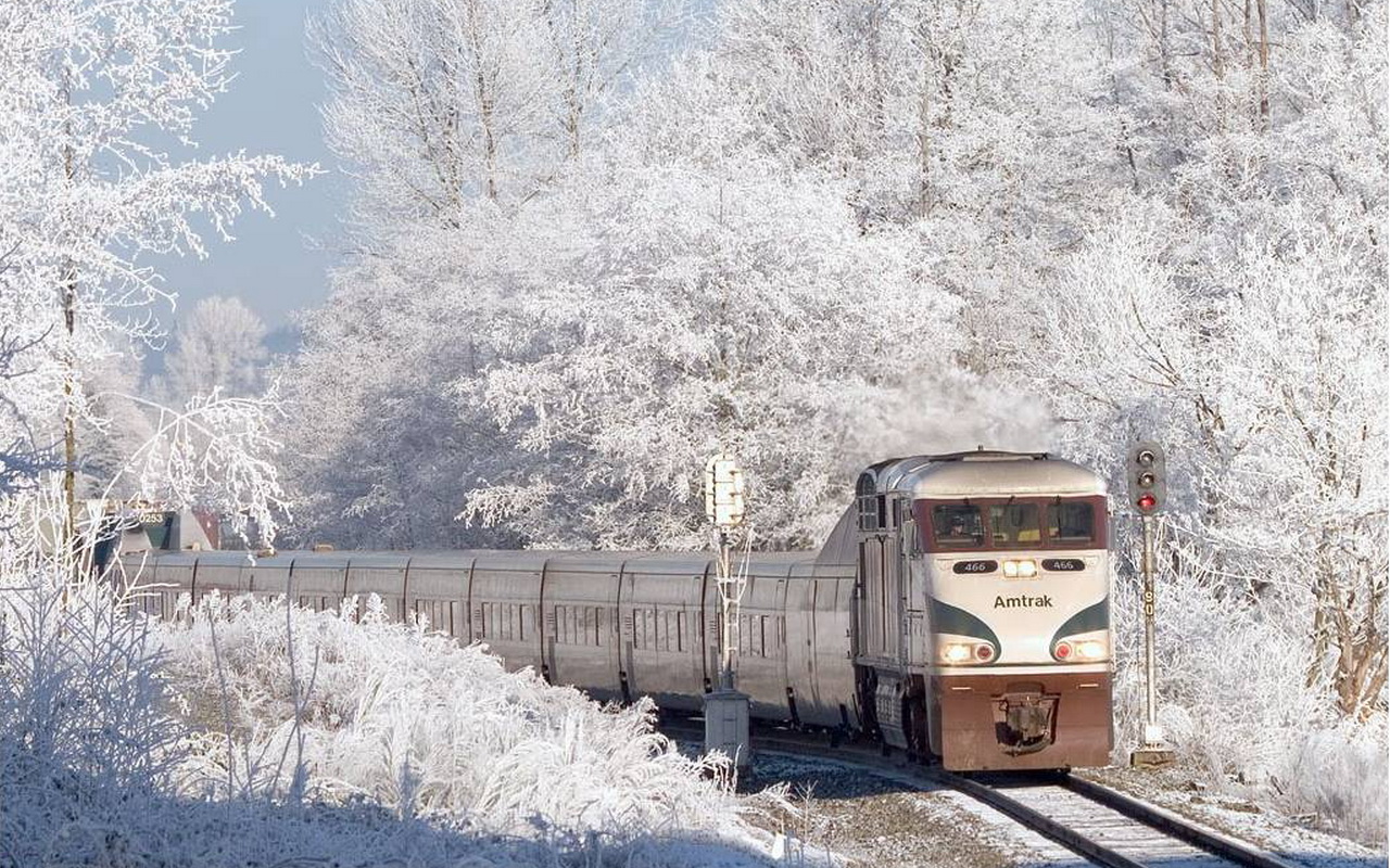 Train Image ID 262003 Image Abyss
