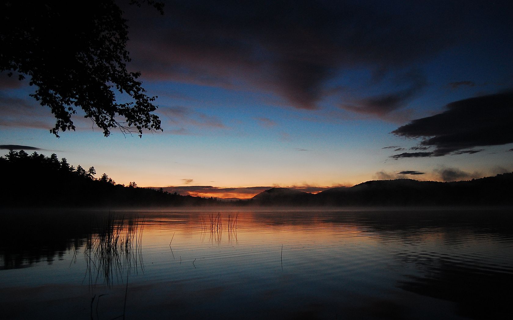 Into The Night Image ID 265064 Image Abyss